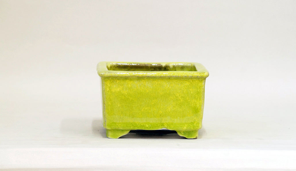 Square Bonsai Pot with Light Yellow by Shuuhou 5.43"(13.8cm) S600