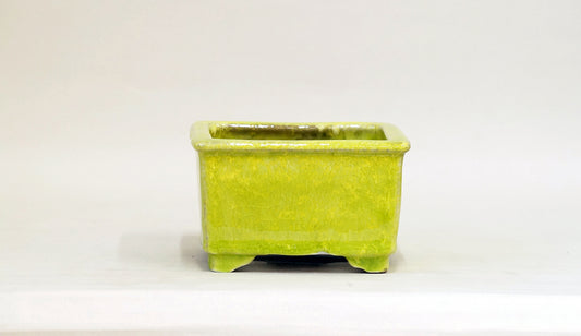 Square Bonsai Pot with Light Yellow by Shuuhou 5.43"(13.8cm) S600