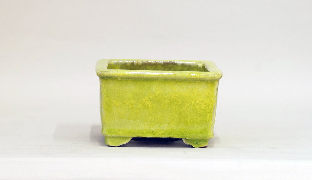 Square Bonsai Pot with Light Yellow by Shuuhou 5.43"(13.8cm) S600