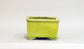 Square Bonsai Pot with Light Yellow by Shuuhou 5.43"(13.8cm) S600