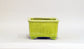 Square Bonsai Pot with Light Yellow by Shuuhou 5.43"(13.8cm) S600