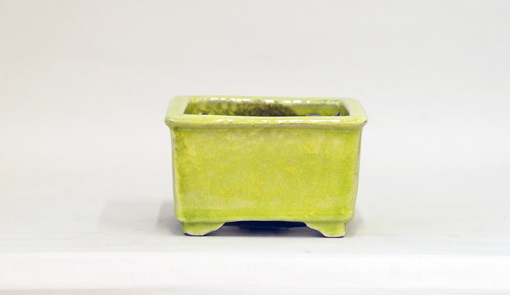 Square Bonsai Pot with Light Yellow by Shuuhou 5.43"(13.8cm) S600