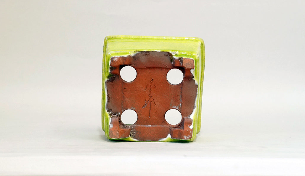 Square Bonsai Pot with Light Yellow by Shuuhou 5.43"(13.8cm) S600