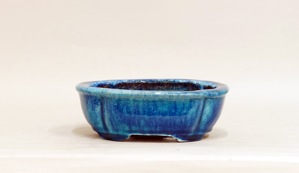 Mokko Shaped Bonsai Pot in Blue by Shuuhou 7.28"(18.5cm) E601