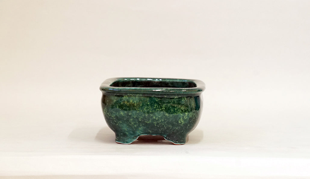 Rectangle Bonsai Pot in Deep Green by Shuuhou 7"(18cm) S602