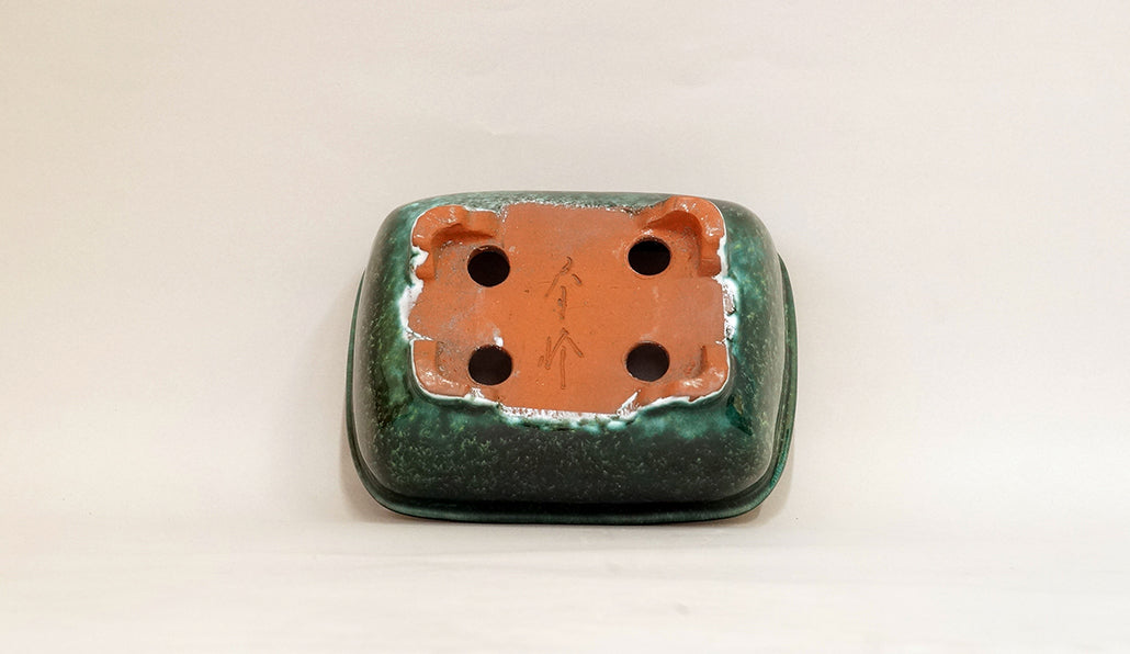 Rectangle Bonsai Pot in Deep Green by Shuuhou 7"(18cm) S602
