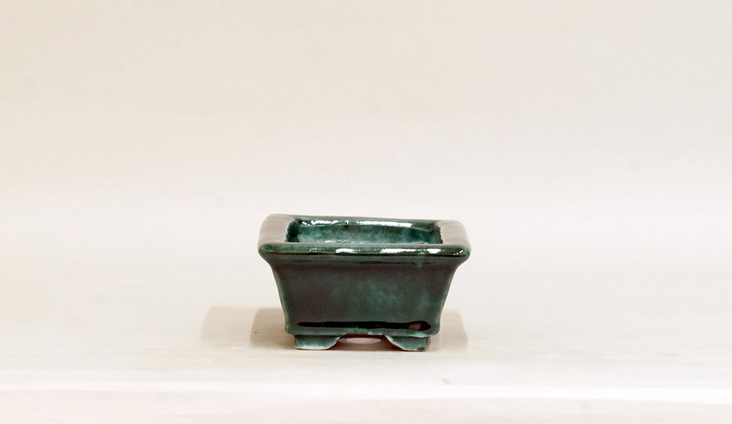 Rectangle Bonsai Pot with Deep Green by Shuuhou  5.3"(13.4cm) S603 +++ Shipping Free