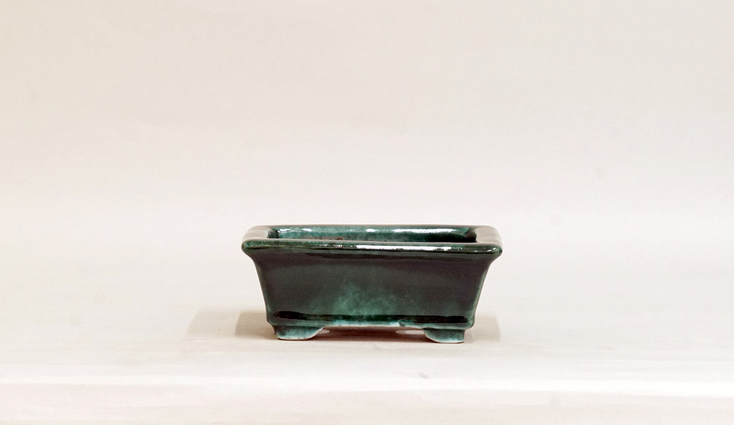 Rectangle Bonsai Pot with Deep Green by Shuuhou  5.3"(13.4cm) S603 +++ Shipping Free