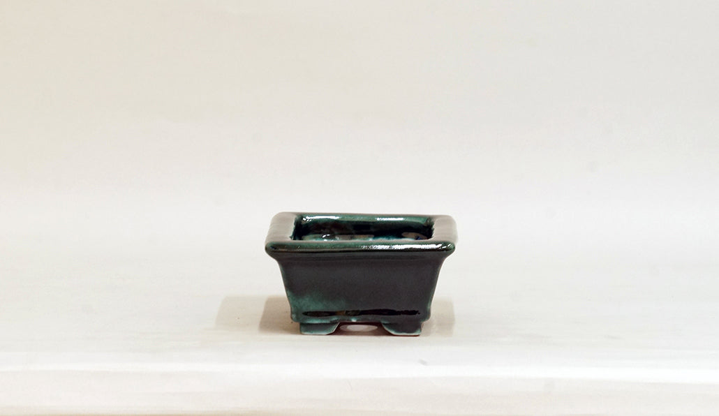 Rectangle Bonsai Pot with Deep Green by Shuuhou  5.3"(13.4cm) S603 +++ Shipping Free