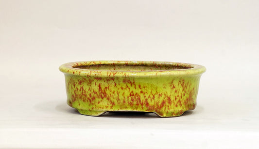 Yellow-Green Glazed Bonsai Pot by Shuuhou 7.4"(19cm) S604