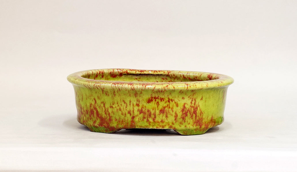 Yellow-Green Glazed Bonsai Pot by Shuuhou 7.4"(19cm) S604