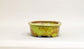 Yellow-Green Glazed Bonsai Pot by Shuuhou 7.4"(19cm) S604