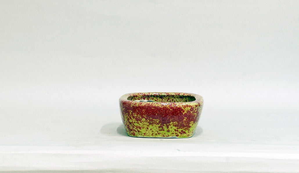Yellow-Green and Pink Glazed Bonsai Pot by Shuuhou 6.1"(15.5cm) S605