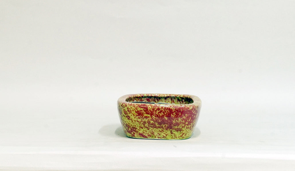 Yellow-Green and Pink Glazed Bonsai Pot by Shuuhou 6.1"(15.5cm) S605