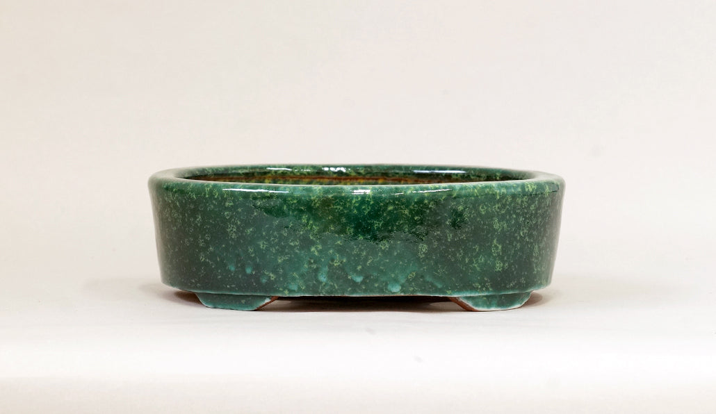 Oval Bonsai Pot in Deep Green by Shuuhou 7.5"(19cm) S611