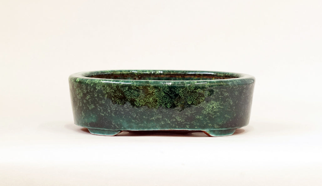 Oval Bonsai Pot in Deep Green by Shuuhou 7.5"(19cm) S611