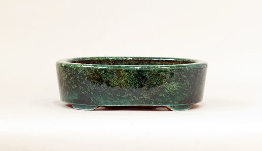 Oval Bonsai Pot in Deep Green by Shuuhou 7.5"(19cm) S611