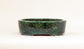 Oval Bonsai Pot in Deep Green by Shuuhou 7.5"(19cm) S611
