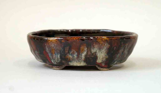 Running White & Red! Bunzan Oval Bonsai Pot 4.7"(12cm)+++ Shipping Free