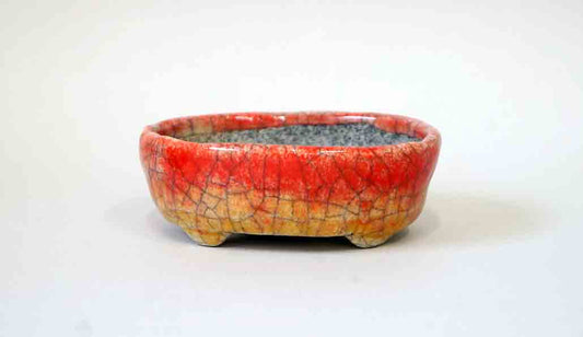 Red & Yellow! Oval Bonsai Pot by Bunzan 4"(10.5cm)+++ Shipping Free