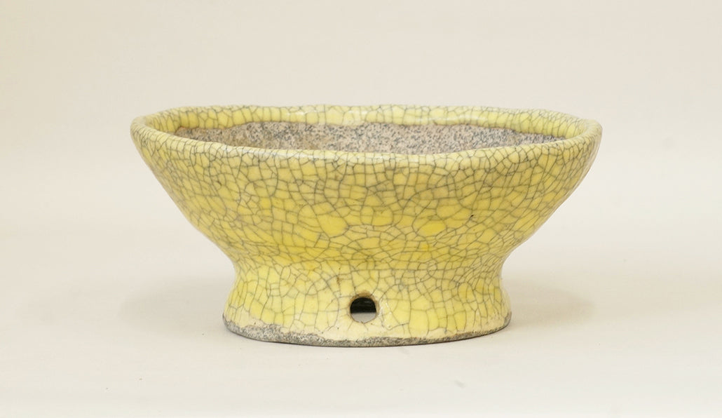 Bunzan Bonsai Pot with Yellow, High Feet 6.8"(17.3cm) B071 +++ Shipping Free