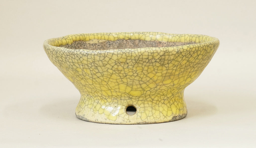 Bunzan Bonsai Pot with Yellow High Feet 6.8 17.3cm B071 Shipping Free