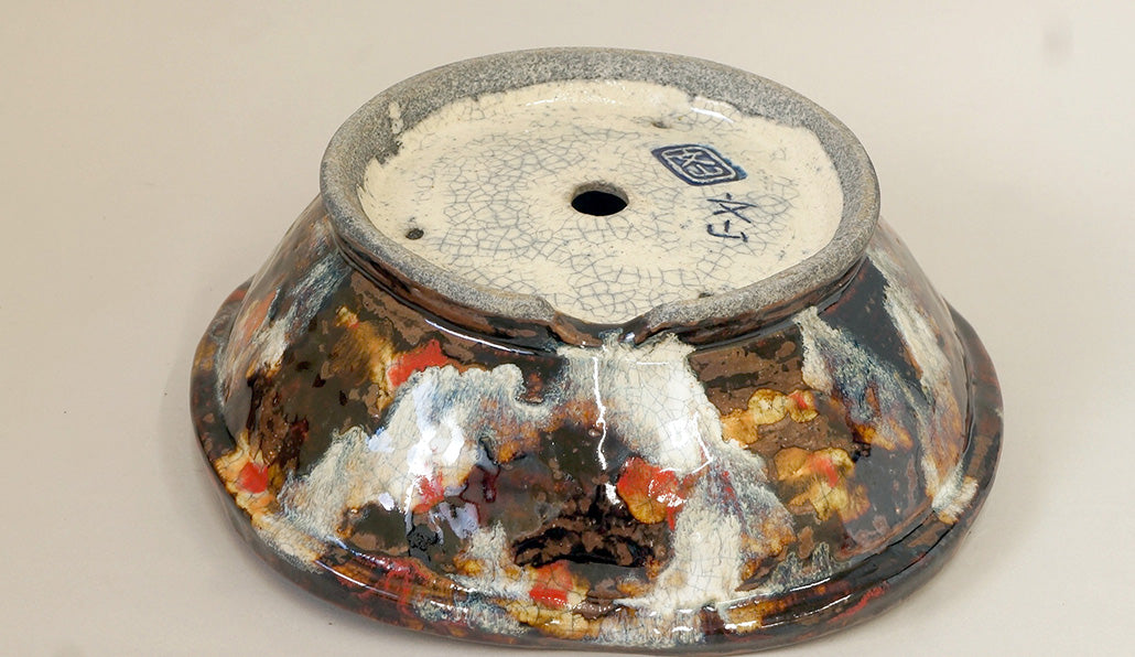 Brown Glazed Bonsai Pot with White & Red by Bunzan 10.2"(26cm) +++ Shipping Free