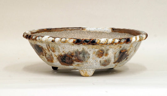 White & Brown Glazed Bonsai Pot by Bunzan 3.1"(26cm) B076 +++ Shipping Free 　