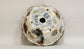 White & Brown Glazed Bonsai Pot by Bunzan 3.1"(26cm) B076 +++ Shipping Free 　