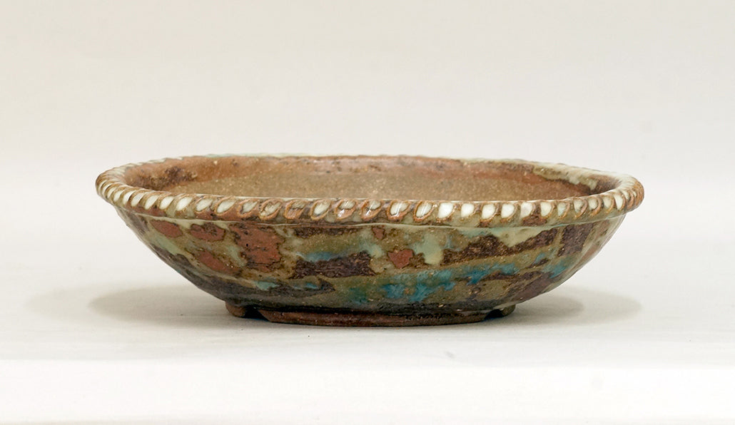 Bunzan Shallow Round Bonsai Pot 8.1"(20.5cm) B083 +++ Shipping Free