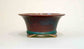 Eimei Shinsya Glazed Bonsai Pot 5.3"(13.5cm) +++ Shipping Free