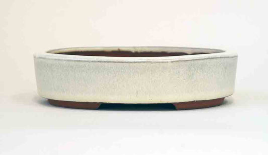 Easy to Use! Oval Bonsai Pot in White Glaze by Eimei 5.8"(14.8cm)+++Shipping Free