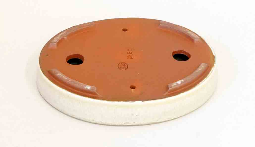 Eimei Shallow Oval Bonsai Pot in White Glaze 5.7"(14.5cm)+++Shipping Free