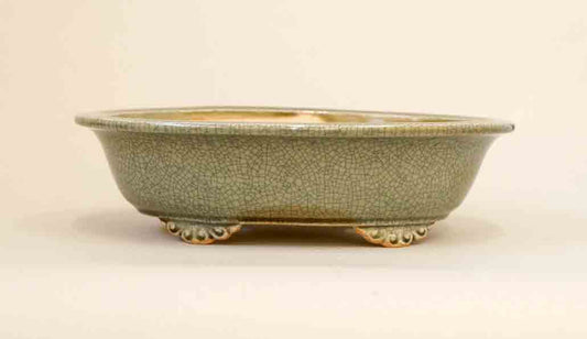 Eimei Oval Bonsai Pot with Rim, 7.5" (18.8cm) Celadon +++Shipping Free