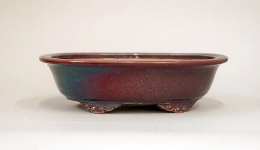 Eimei Shinsya Glazed Bonsai Pot with Rim, 7.8"(20cm) E308 +++Shipping Free