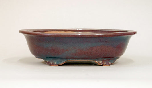 Eimei Shinsya Glazed Bonsai Pot with Rim, 7.8"(20cm) E308 +++Shipping Free