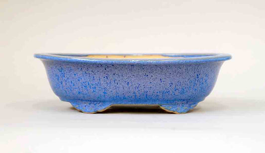 Eimei Sky Blue Oval Bonsai Pot with Rim, 7.5"(19cm)  +++Shipping Free