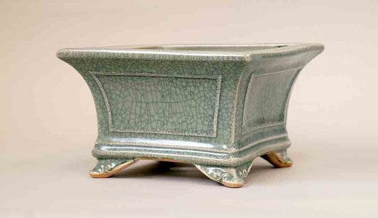 Eimei Square Bonsai Pot in Celadon 6"(15.5cm) +++Shipping Free