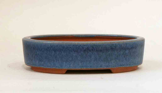 Easy to Use! Oval Bonsai Pot in Blue Glaze by Eimei 6.1"(15.5cm)+++Shipping Free
