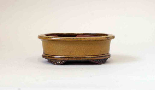 Eimei Yellow Bonsai Pot 4.6"(11.7cm)+++Shipping Free