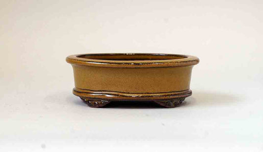 Eimei Yellow Bonsai Pot 4.6"(11.7cm)+++Shipping Free
