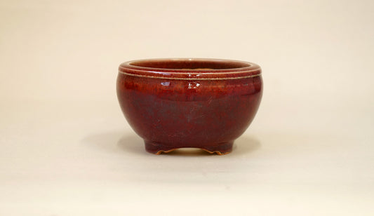 Beautiful Red! Eimei Round Shinsya Glazed Bonsai Pot 3.7"(9.5cm) +++Shipping Free