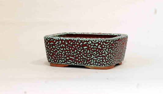 Red & Blue Kairagi Bonsai Pot by Eimei 6"(15.5cm) +++ Shipping Free