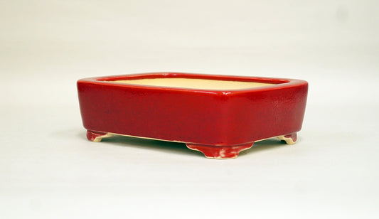 Eimei Red Rectangle Bonsai Pot with Red Glaze 6"(15.5cm) +++ Shipping Free