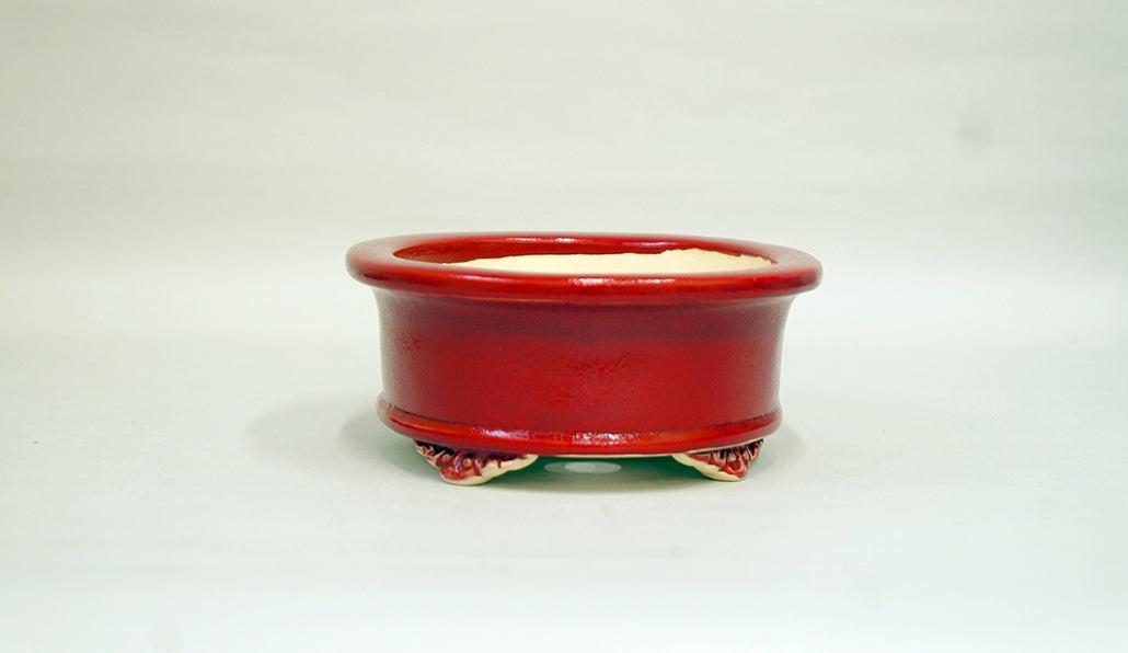 Eimei Red Glazed Bonsai Pot with Rim 6"(15.5cm) +++ Shipping Free