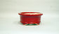 Eimei Red Glazed Bonsai Pot with Rim 6"(15.5cm) +++ Shipping Free