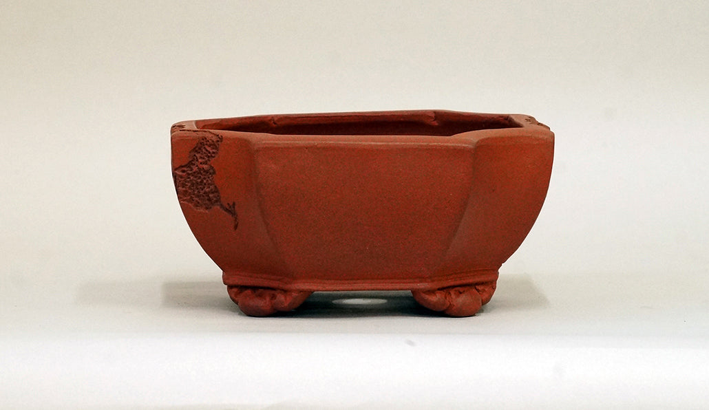 Eimei Worm-Eaten Design Bonsai Pot with Corner Cutting 5.9"(15cm) E396 +++ Shipping Free