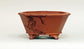 Eimei Octagonal Bonsai Pot with Worm-Eaten Design 6.1"(15.5cm) E398 +++ Shipping Free