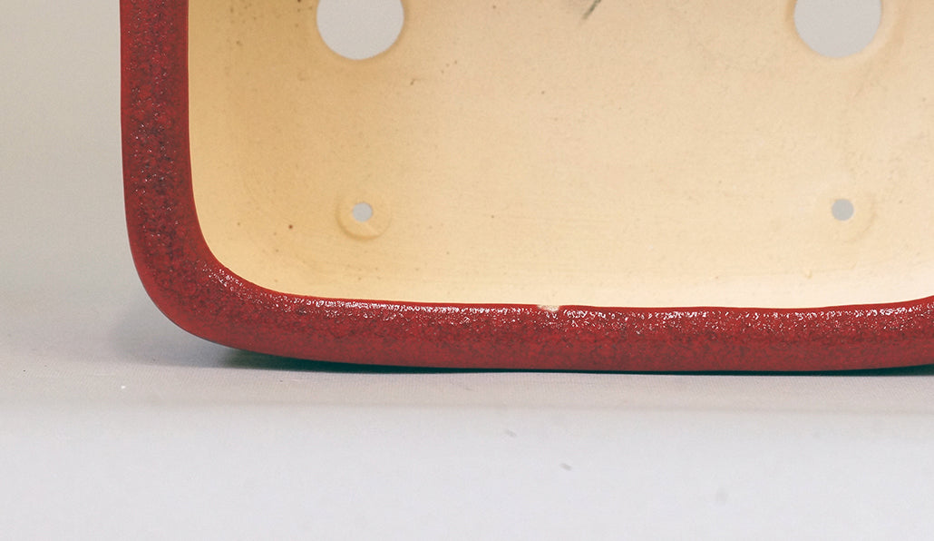 Eimei Rectangle Bonsai Pot in Red 鶏血釉 6.1"(15.5cm) +++ Shipping Free　
