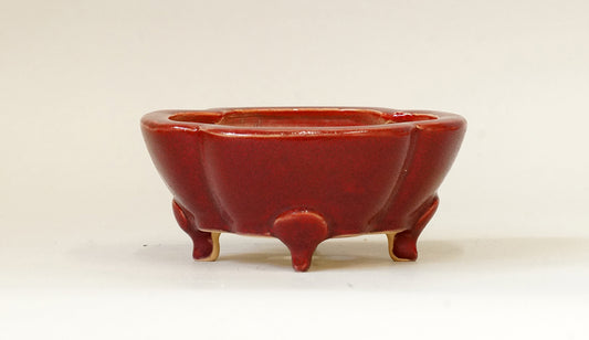 Lotus Shaped Bonsai Pot in Red by Eimei 4.7"(12cm) E404 +++ Shipping Free